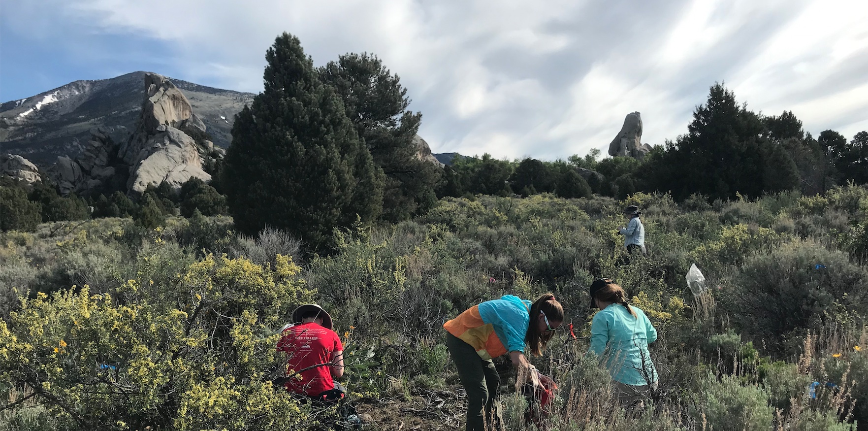 fieldwork at Castle Rocks State Park
